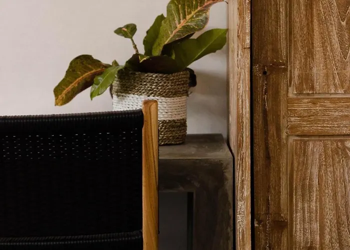 Stylish 2 Bedroom In - Bright & Airy Canggu